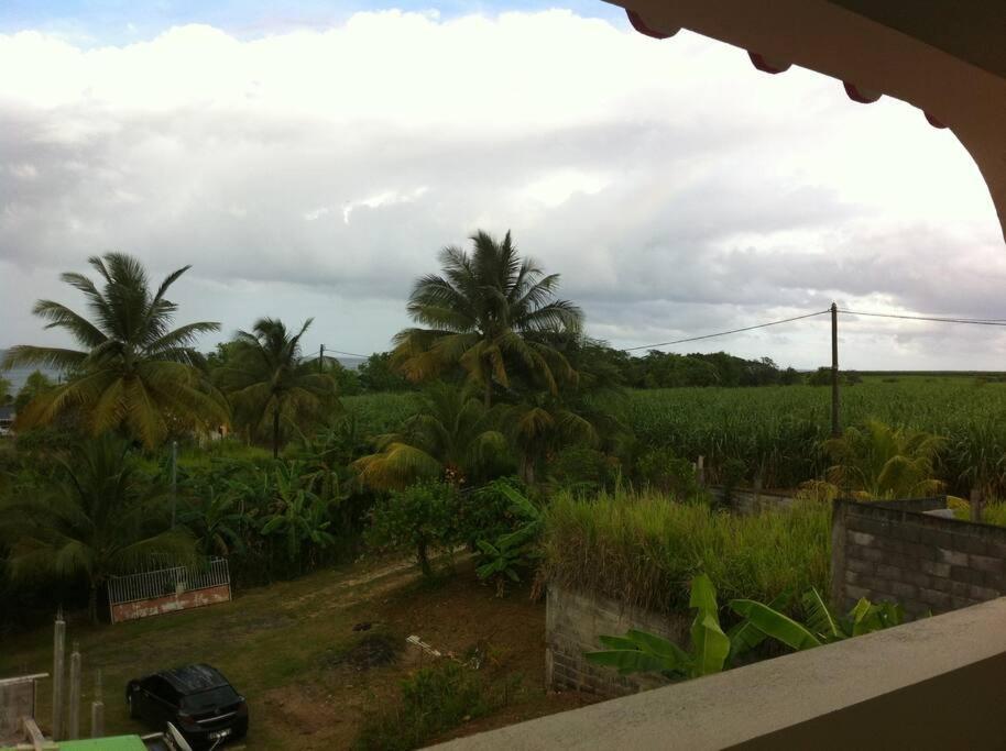 Haut De Villa Avec Vue Sur La Mer ซานต์-โรส ภายนอก รูปภาพ