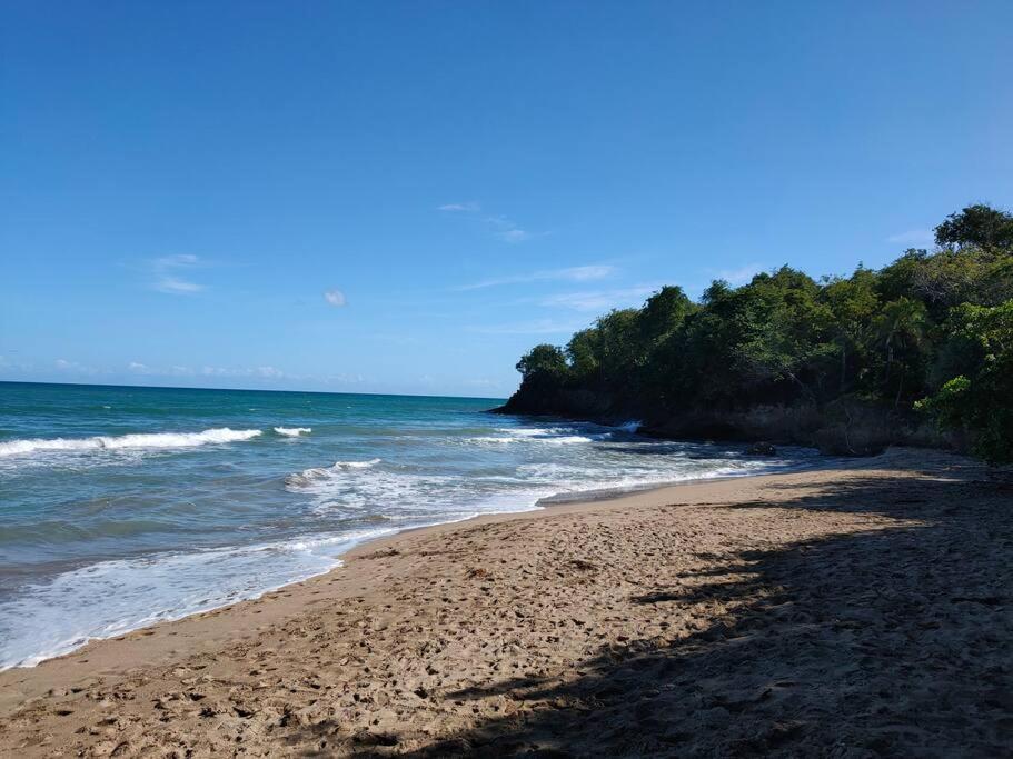 Haut De Villa Avec Vue Sur La Mer ซานต์-โรส ภายนอก รูปภาพ