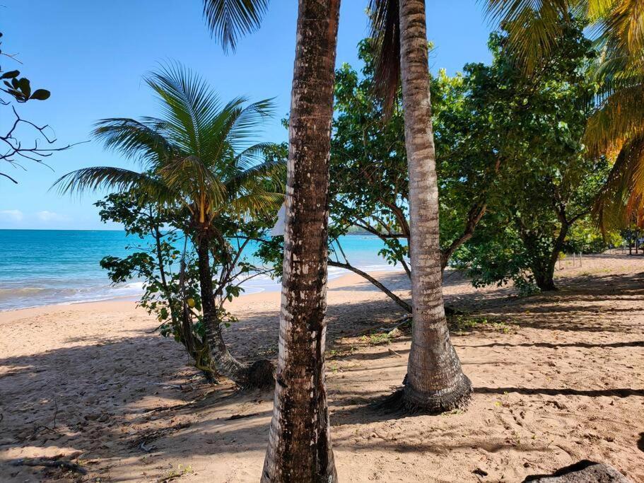 Haut De Villa Avec Vue Sur La Mer ซานต์-โรส ภายนอก รูปภาพ